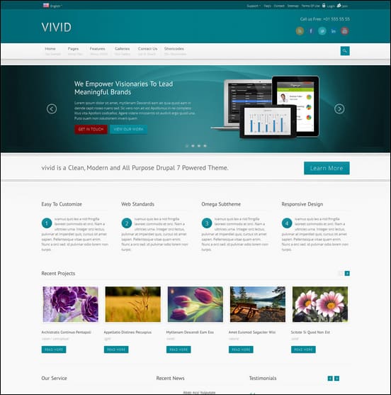 VIVID -   БОЛЬШЕ ИНФОРМАЦИИ   |   DEMO